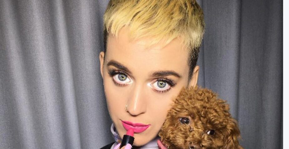 Katy Perry and Orlando Bloom’s pampered pooches